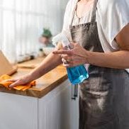 domesticservices